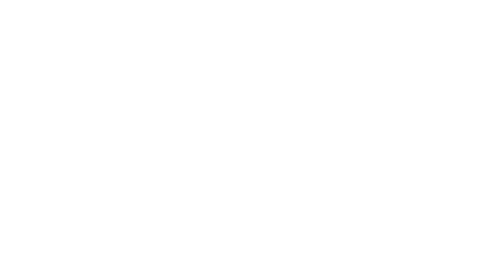 Blinkuis logo