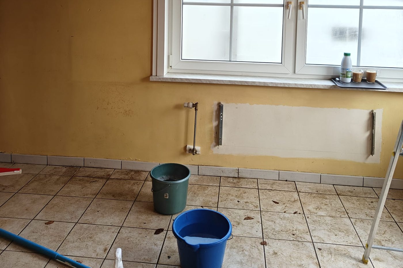 Blinkuis aan het werk tijdens een grondige schoonmaakbeurt